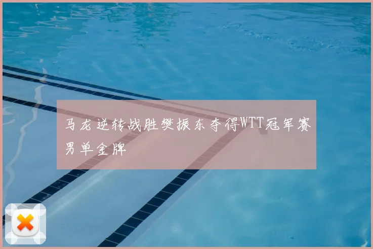 马龙逆转战胜樊振东夺得WTT冠军赛男单金牌