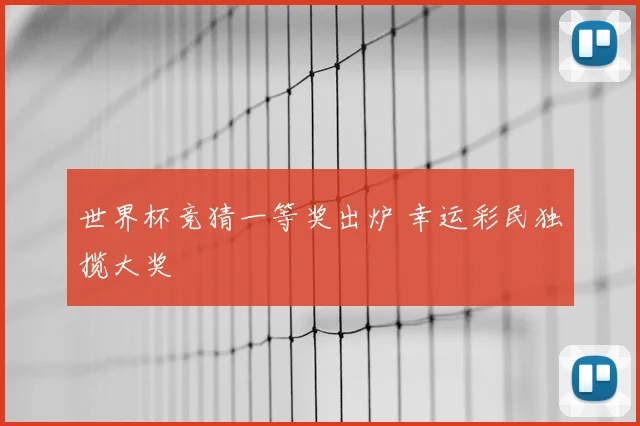 世界杯竞猜一等奖出炉 幸运彩民独揽大奖